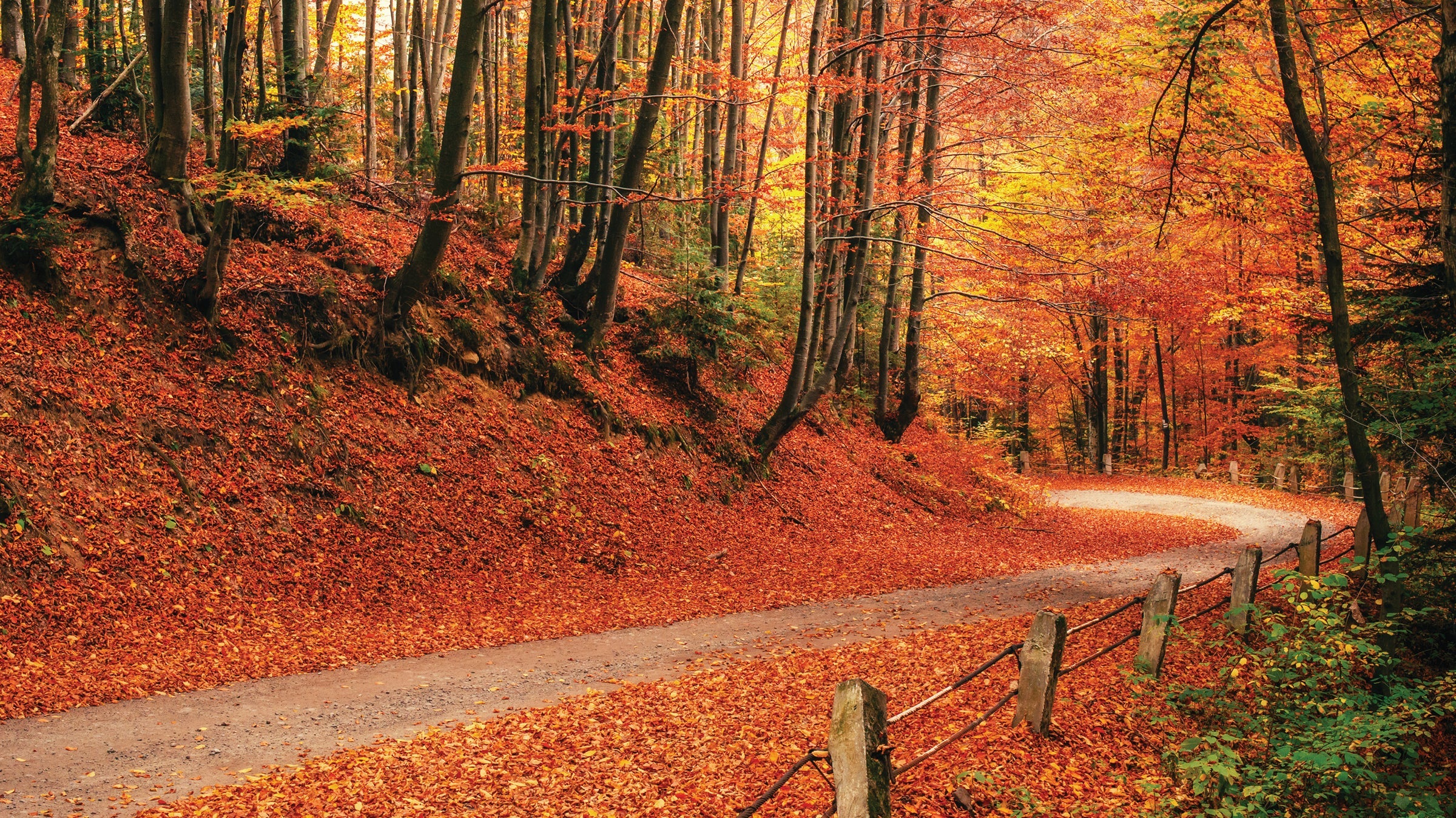 Bottes De Neige Bordeaux Doublées De Fausse Fourrure Pour