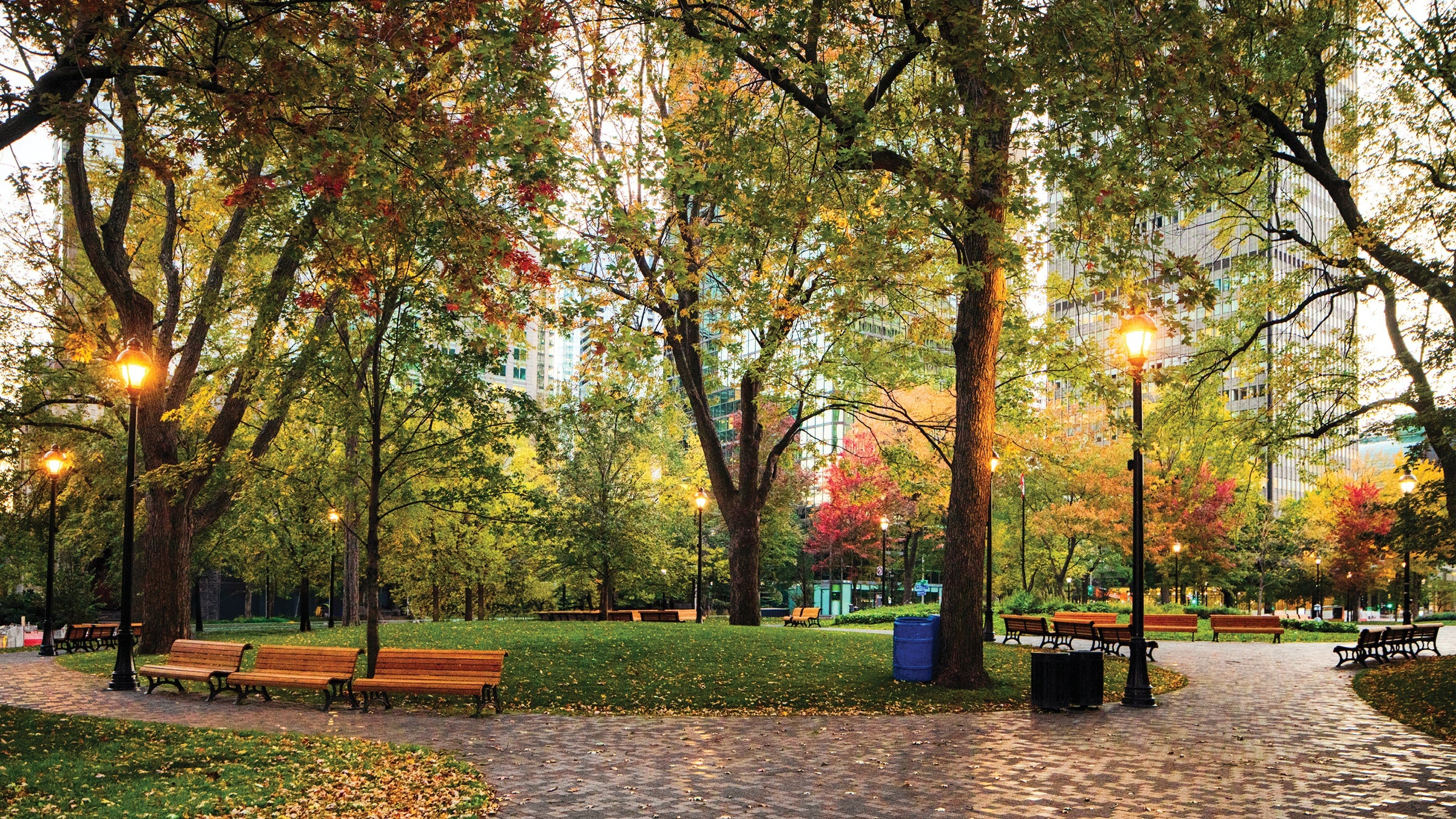 Chelsea Boots for Women