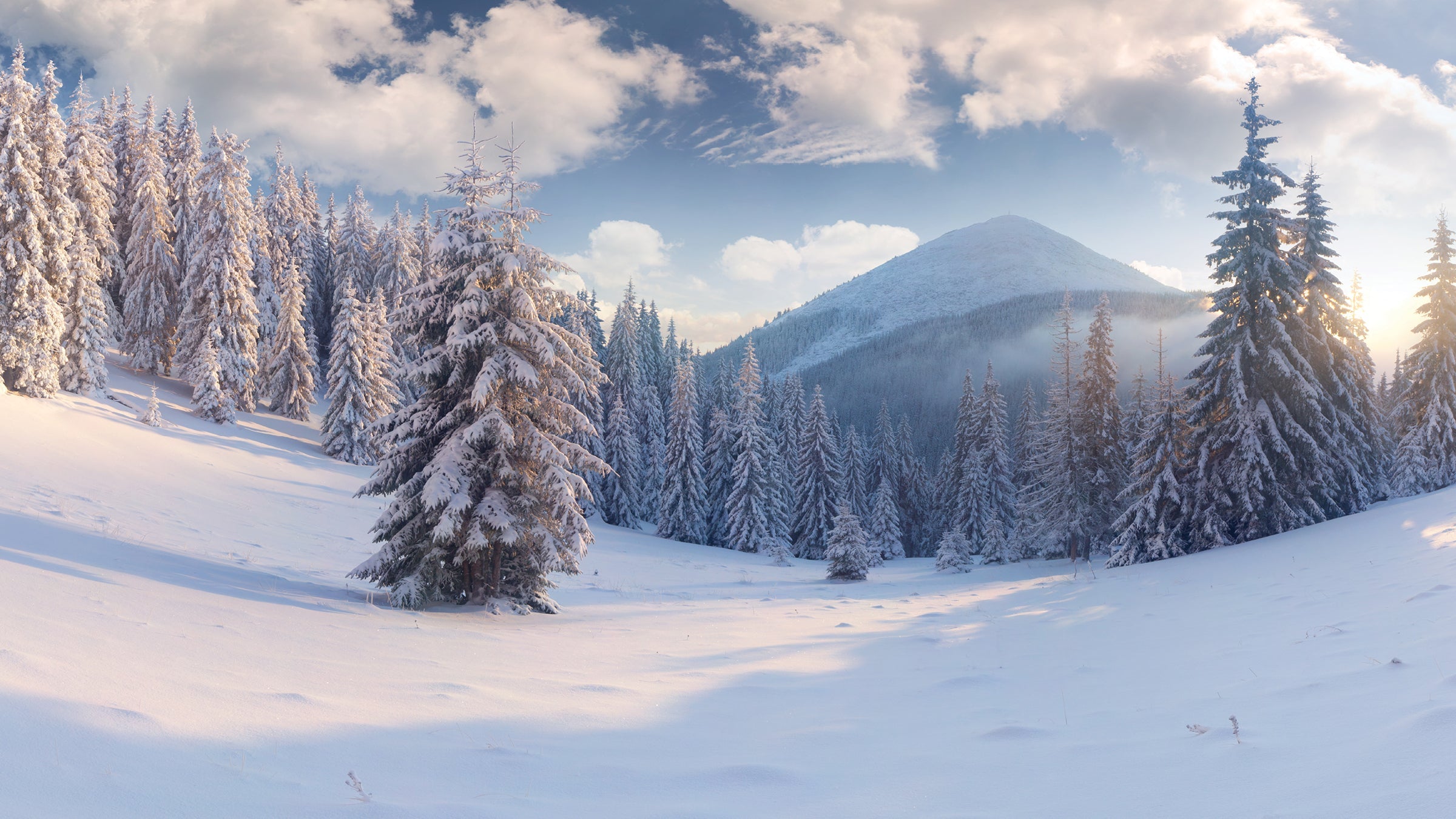 Winter Boots for Kids