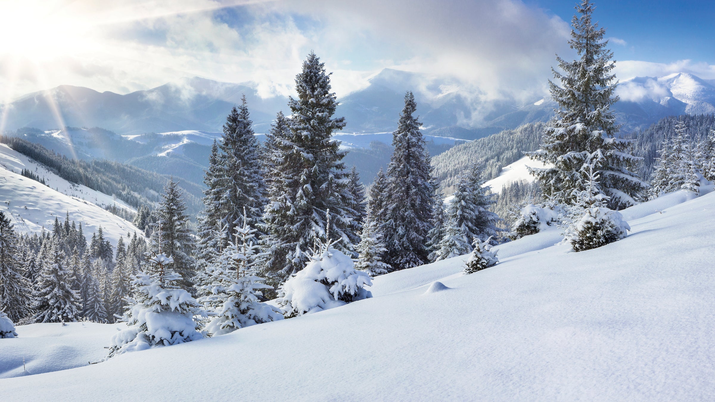 Chaussure Globe Globe Encore-2 Smoke Navy Mens Skate Shoes Globe Shoes