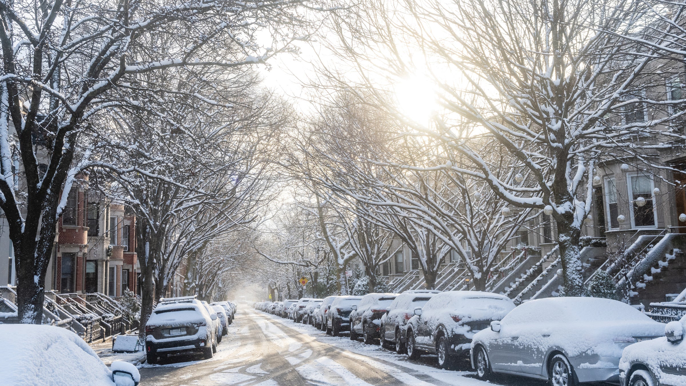 Winter Boots for Women