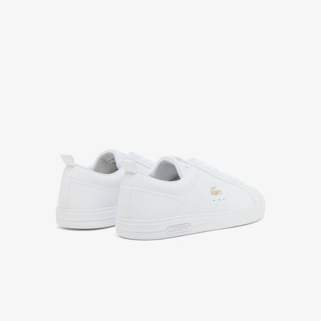 Lacoste Court Base W Women Shoes Sneaker in white - product view 
