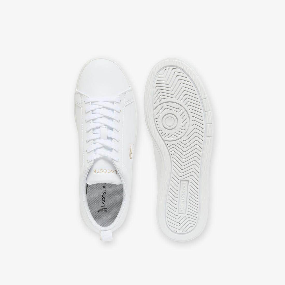 Lacoste Court Base W Women Shoes Sneaker in white - product view 