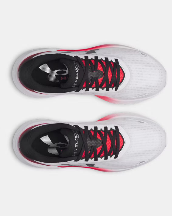Ua Velociti Pace