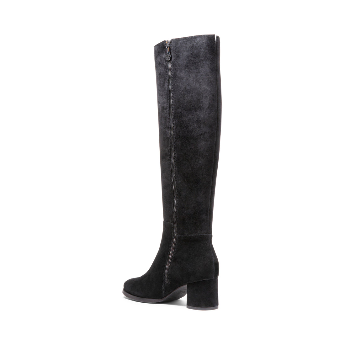 BLONDO Birdies W Women Tall Dress Boots in Black Suede