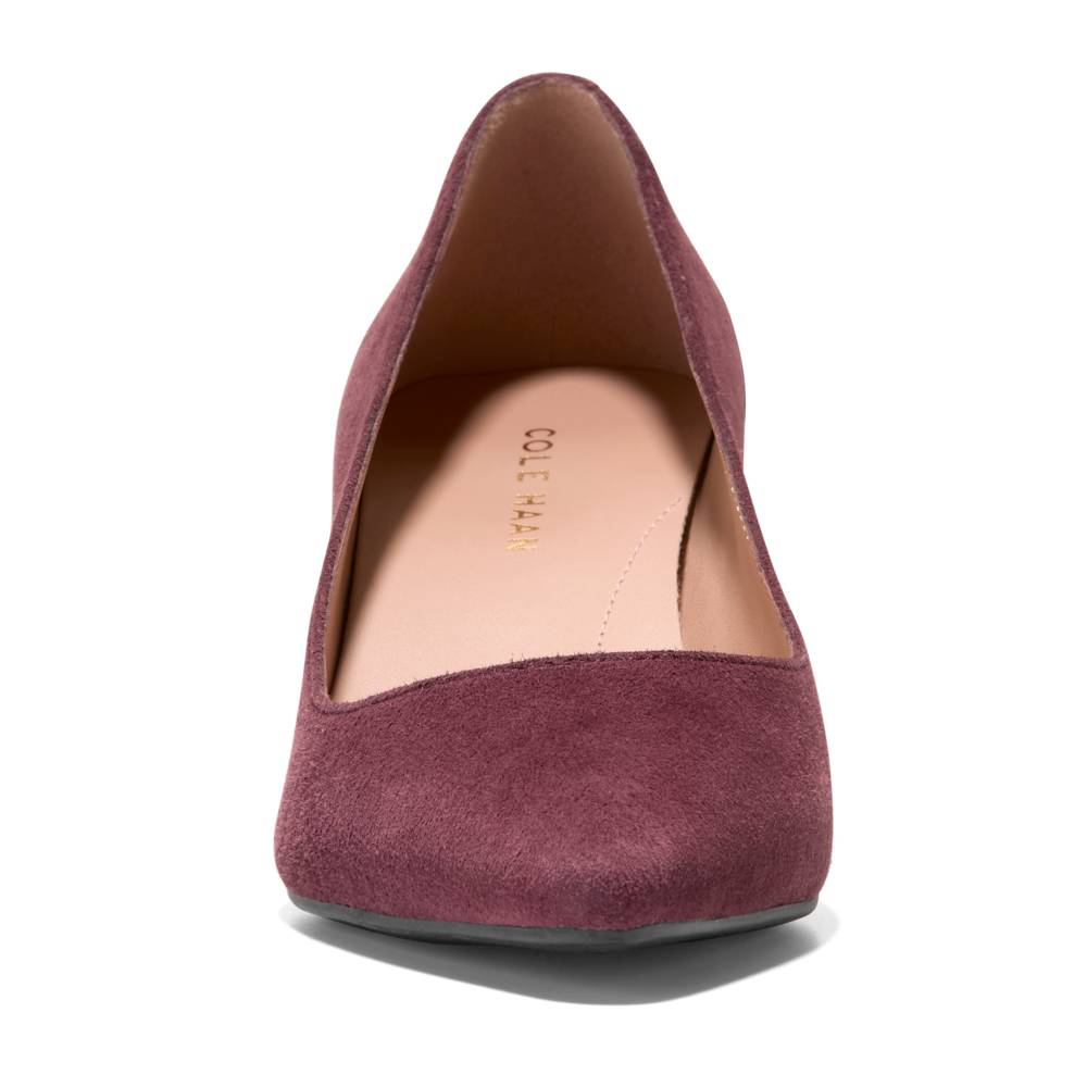 Carlotta_pump