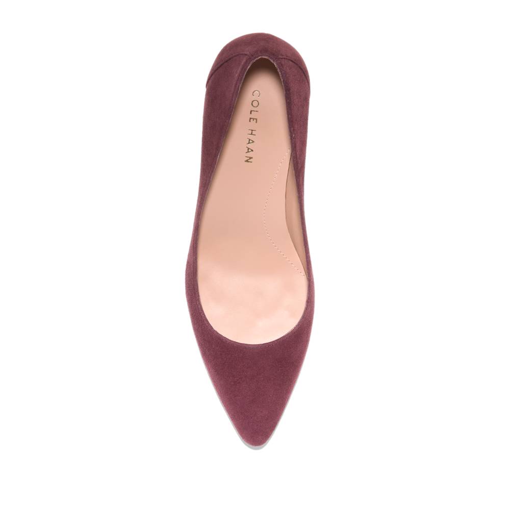Carlotta_pump