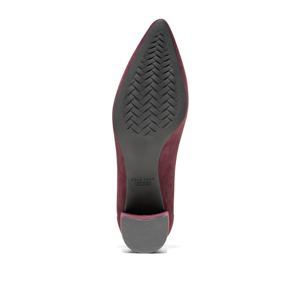 Carlotta_pump