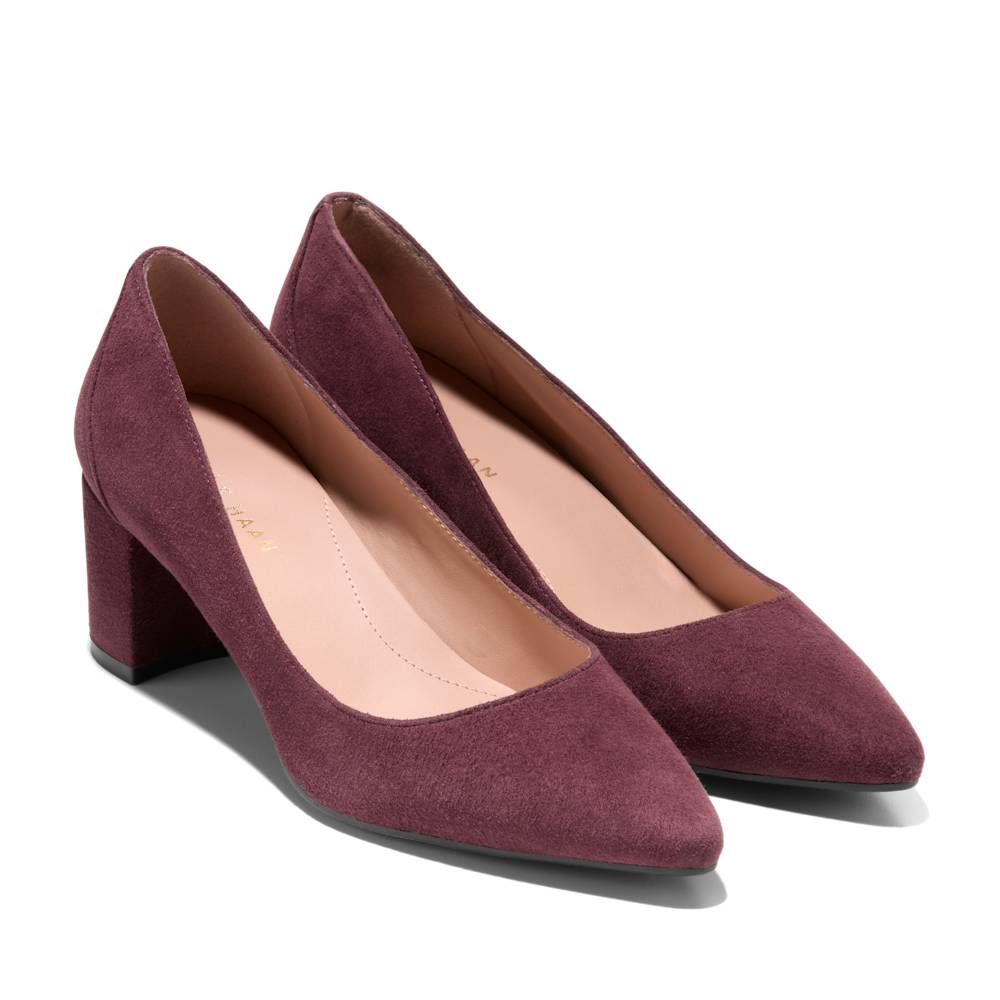 Carlotta_pump