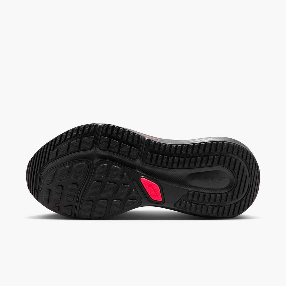NIKE Nike Winflo 12 Shoes Performance in Black- Product view