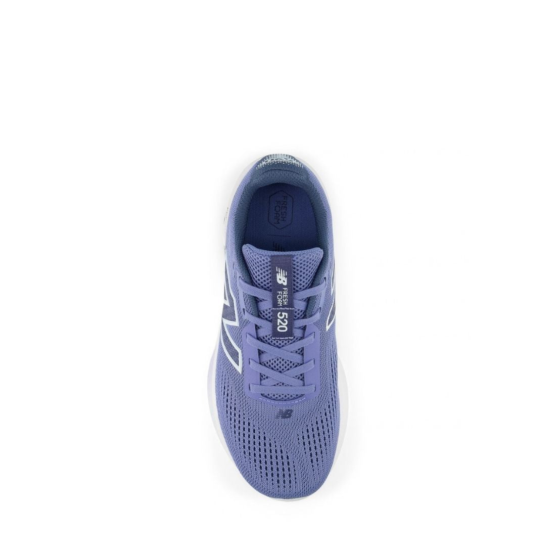 Fresh Foam 520 v9 W