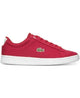 Car_sneaker-jb