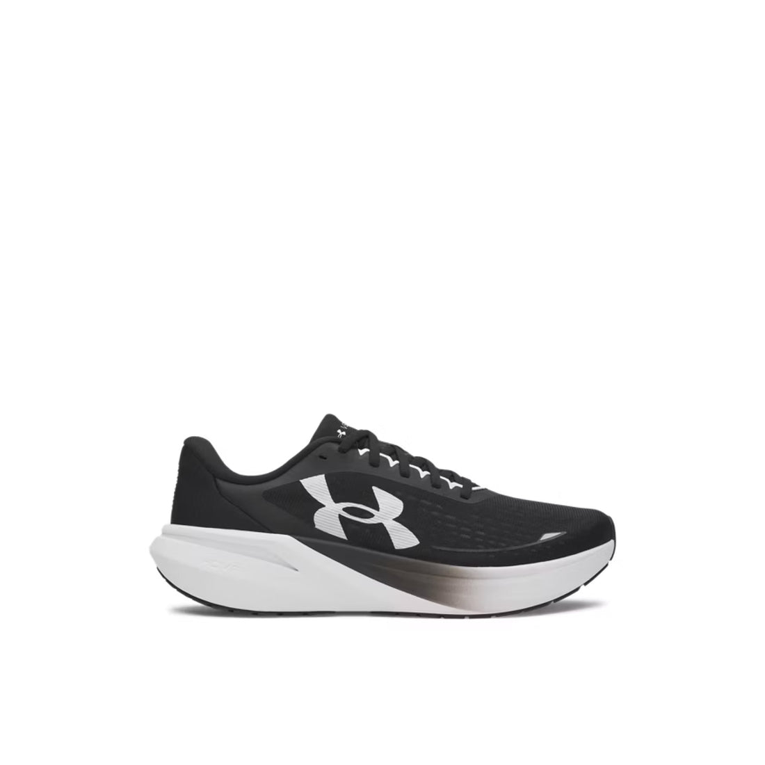 Ua Velociti Pace