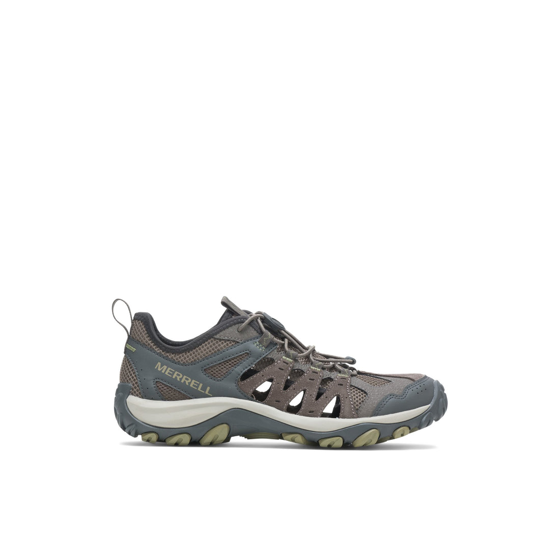 Accentor_3-m