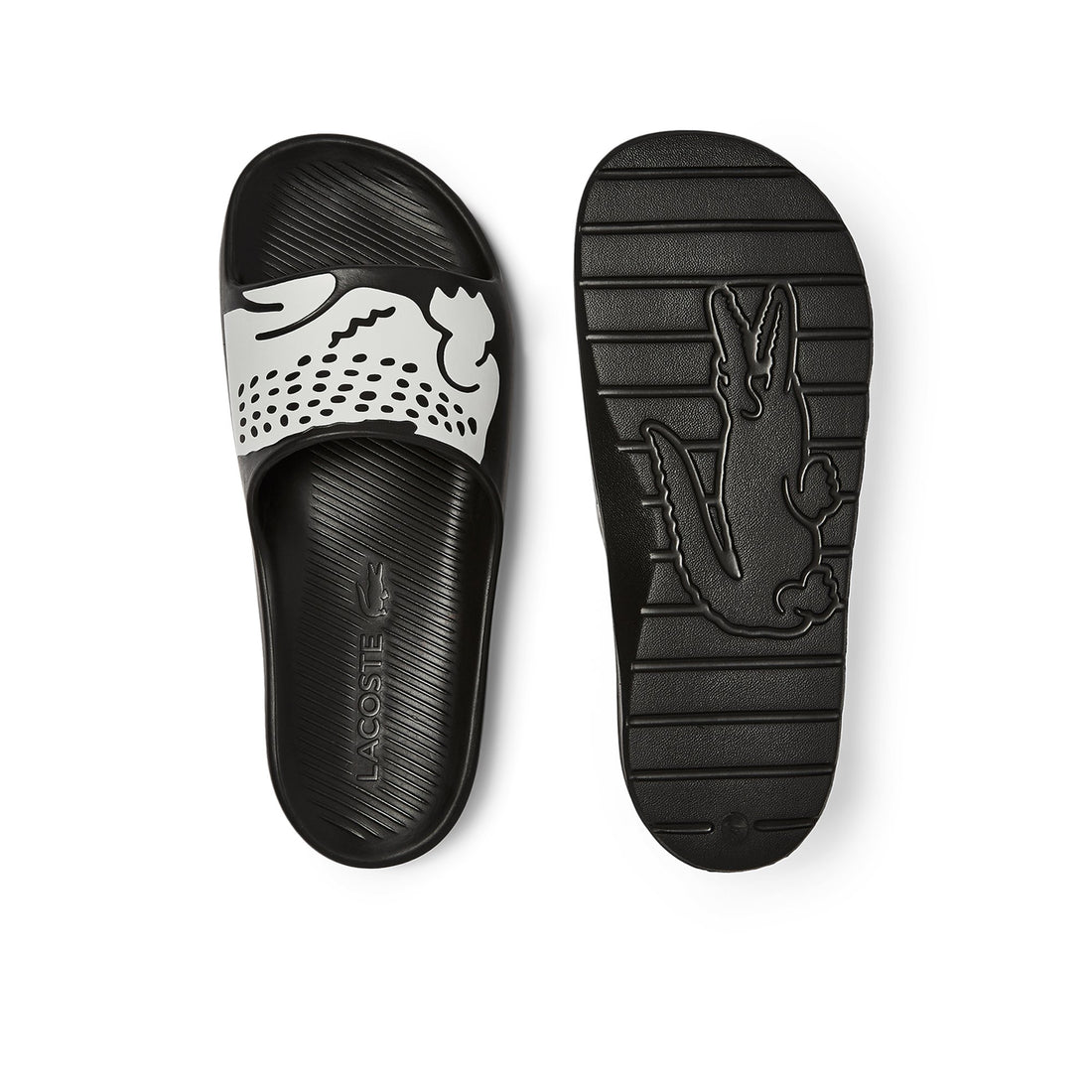 Croco_2.0