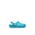 Irides_clog-jg