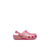 Irides_clog-jg