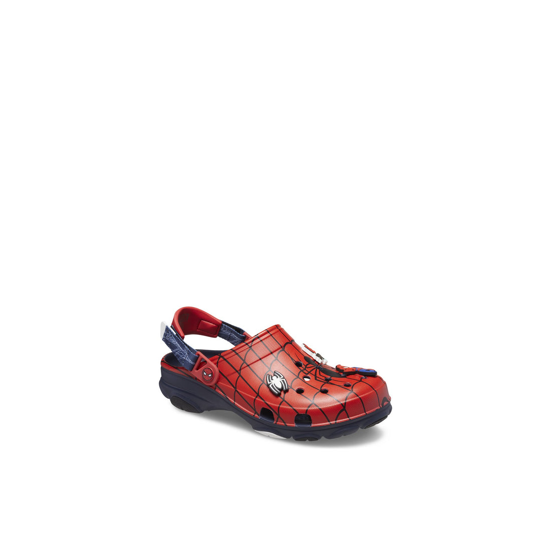 Spider_clog-jb