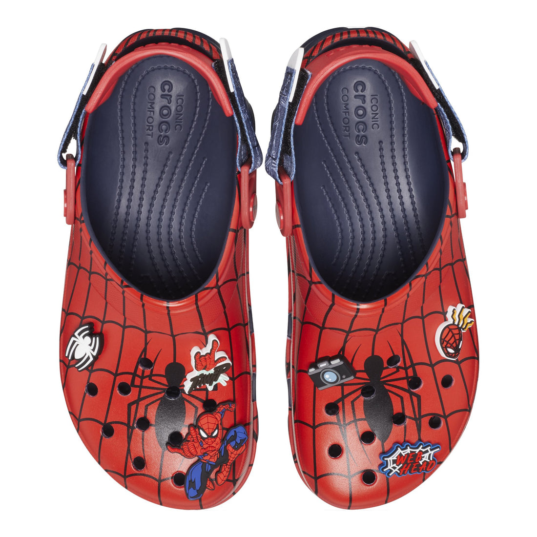 Spider_clog-jb