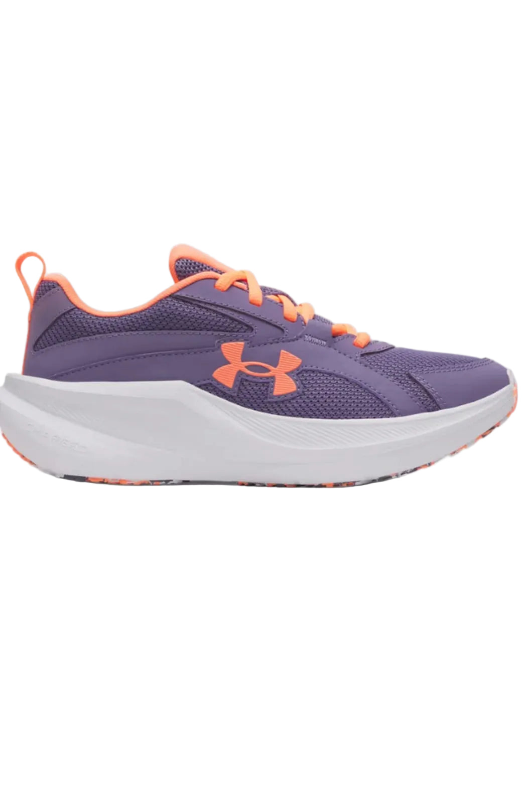 Ua ggs assert 11
