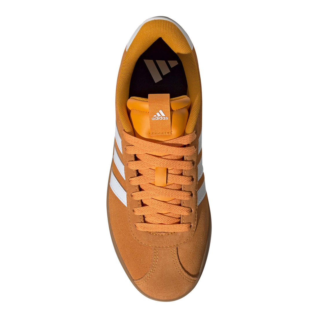 Vlcourt 3-L