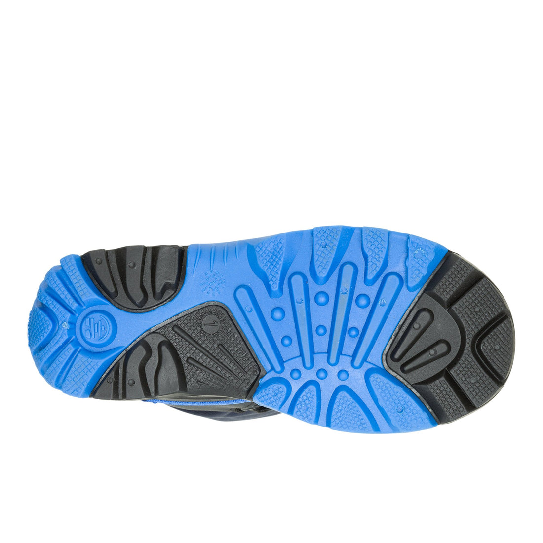 Waterbug5-jb.